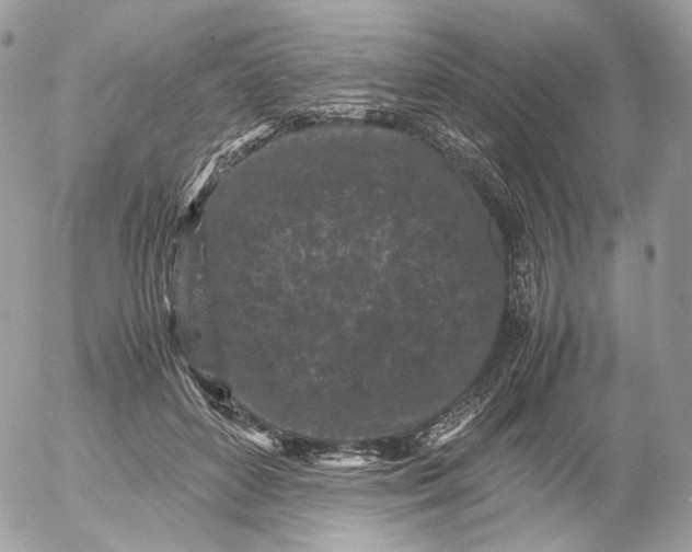 X0000052630504200507221753