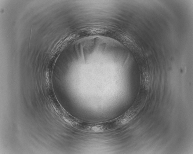 X0000052630506200507221753