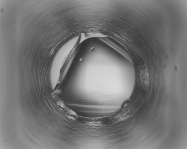 X0000052630508200507221753