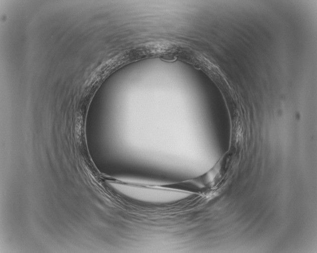 X0000052630509200507221753