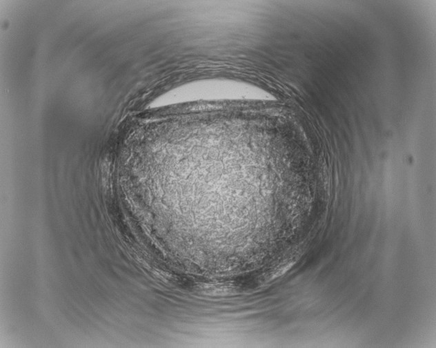 X0000052630511200507221753