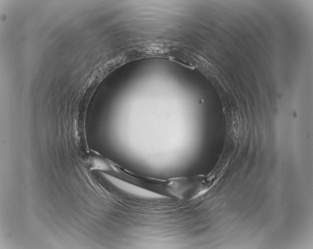 X0000052630512200507221753