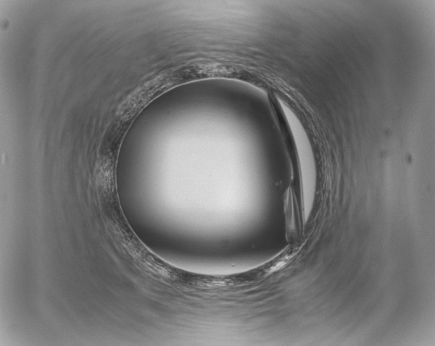 X0000052630513200507221753