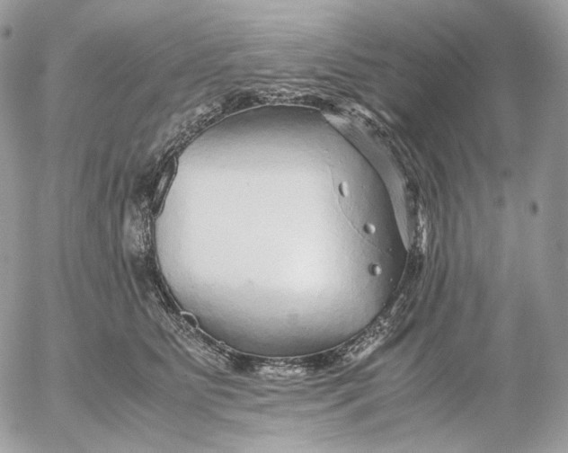 X0000052630515200507221753