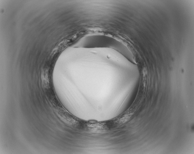 X0000052630516200507221753