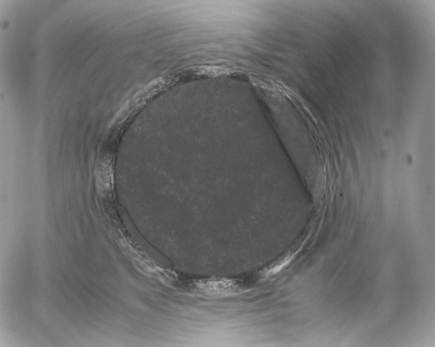 X0000052630517200507221753