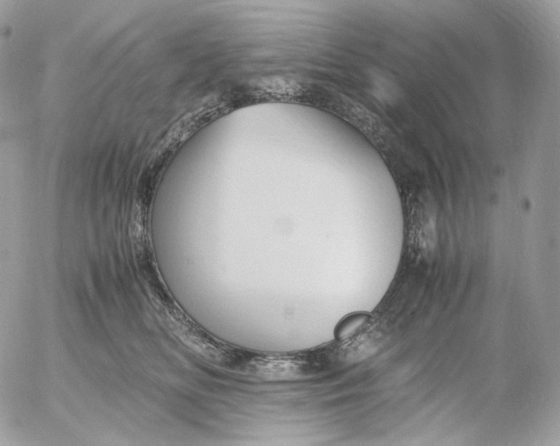 X0000052630518200507221753