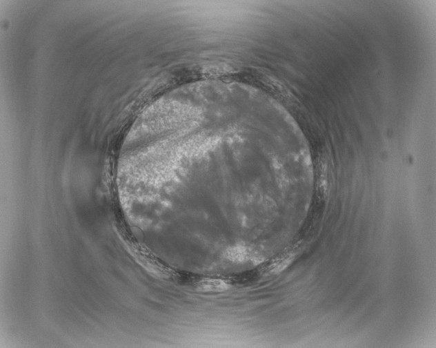 X0000052630519200507221753