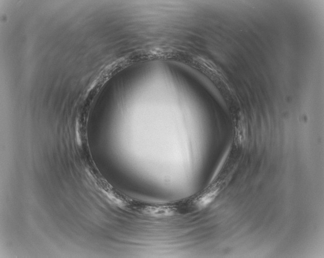 X0000052630520200507221753