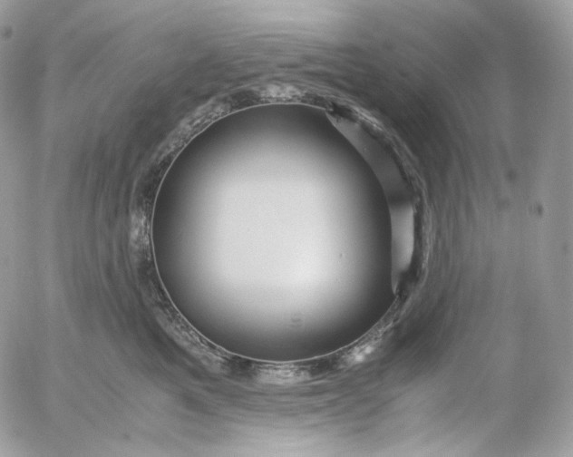 X0000052630521200507221753