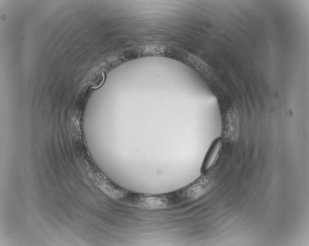 X0000052630522200507221753