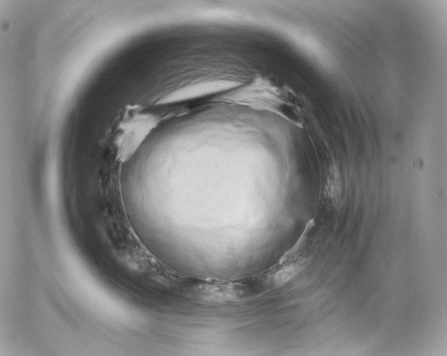 X0000052630524200507221753