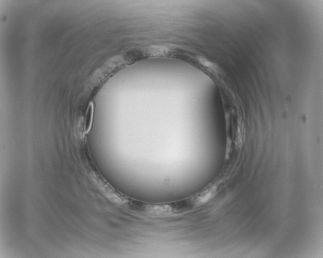 X0000052630525200507221753