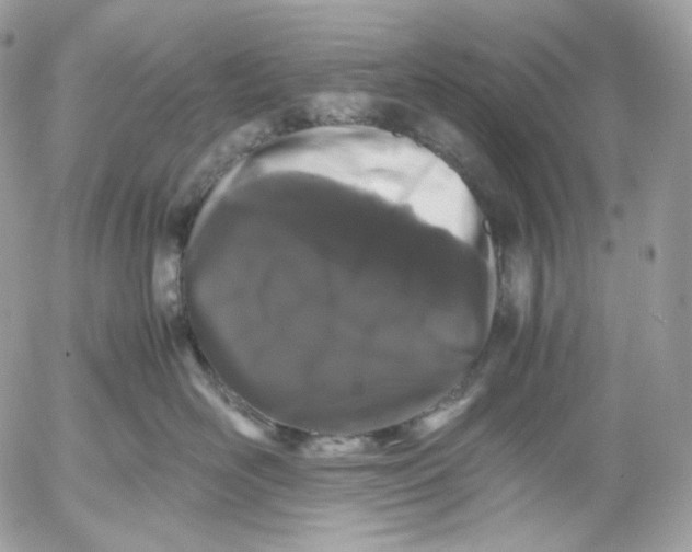 X0000052630526200507221753