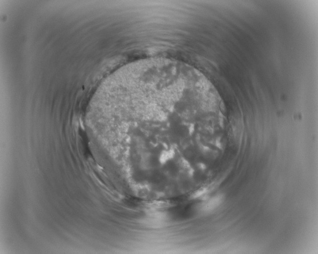 X0000052630527200507221753