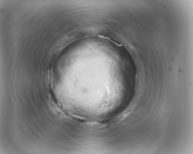 X0000052630528200507221753