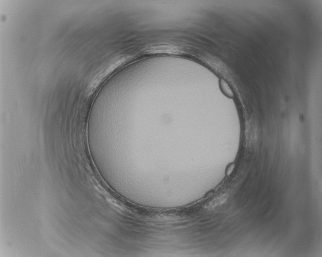 X0000052630529200507221752