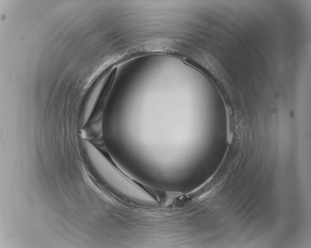 X0000052630530200507221752