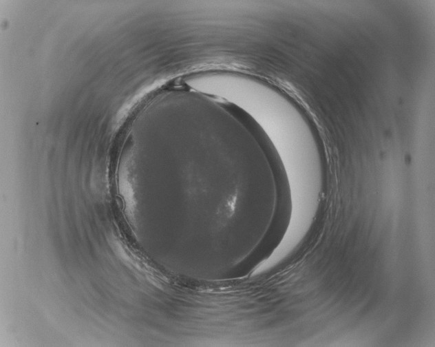 X0000052630531200507221752