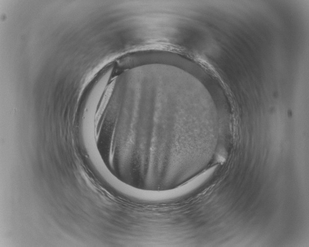 X0000052630532200507221752