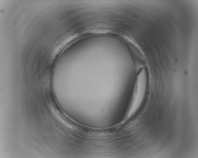 X0000052630533200507221752