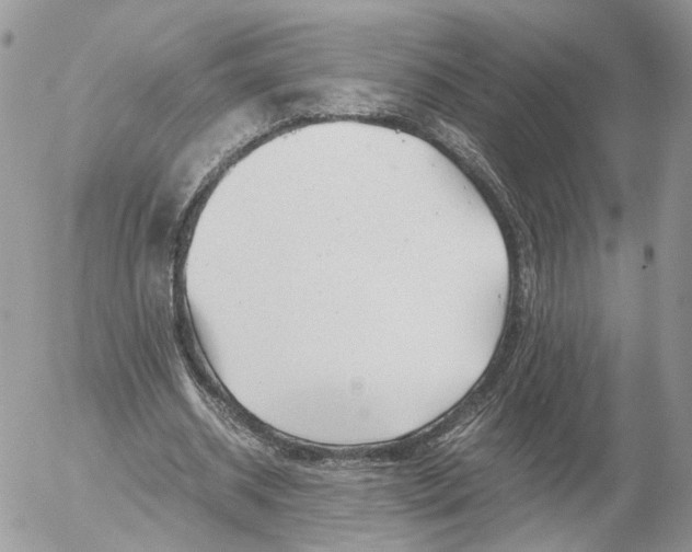 X0000052630534200507221752