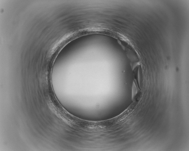 X0000052630535200507221752