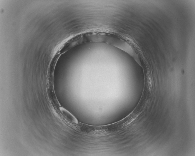 X0000052630536200507221752