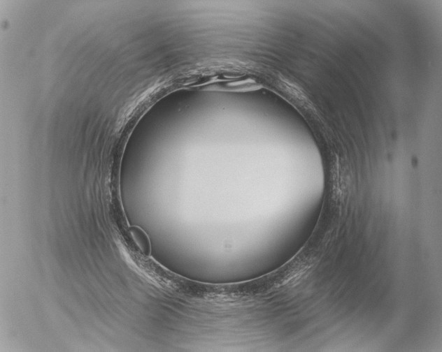 X0000052630538200507221752