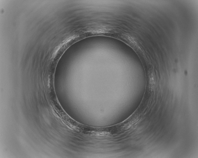 X0000052630539200507221752