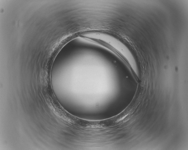 X0000052630540200507221752