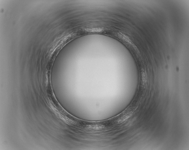 X0000052630541200507221752