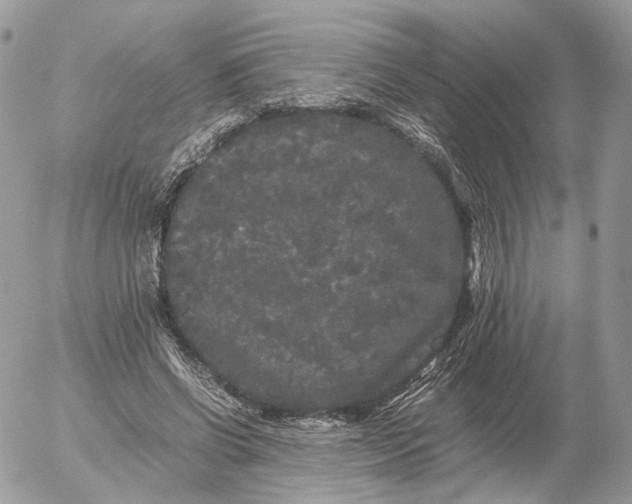 X0000052630542200507221752