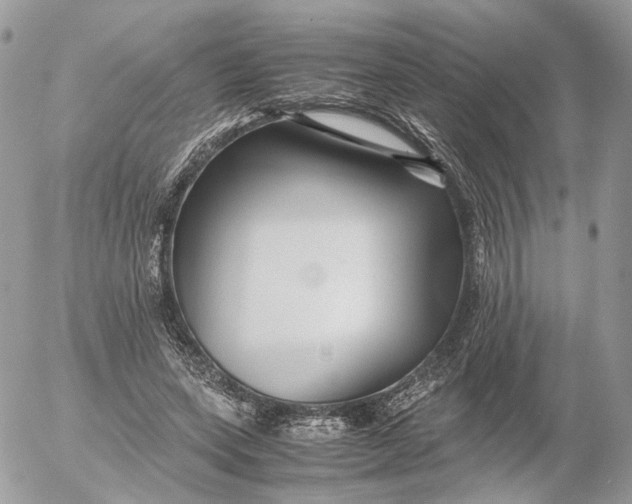 X0000052630543200507221752