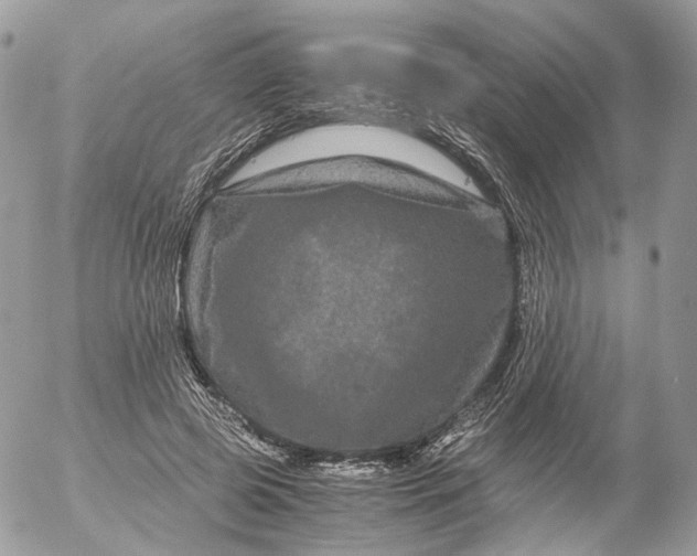 X0000052630545200507221752