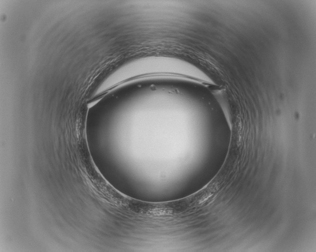 X0000052630546200507221752