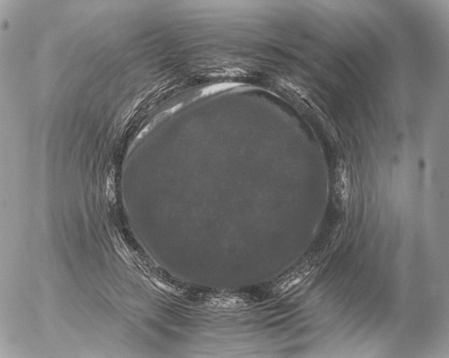 X0000052630547200507221752