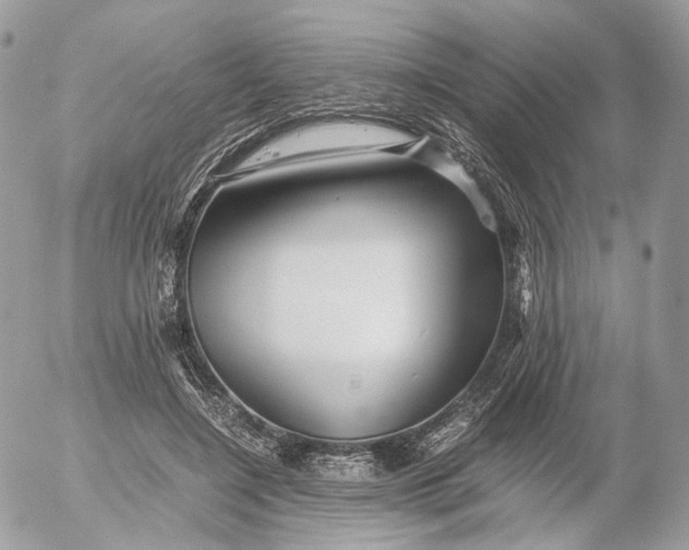 X0000052630548200507221752