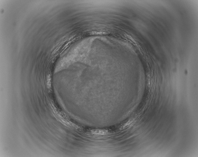 X0000052630549200507221752