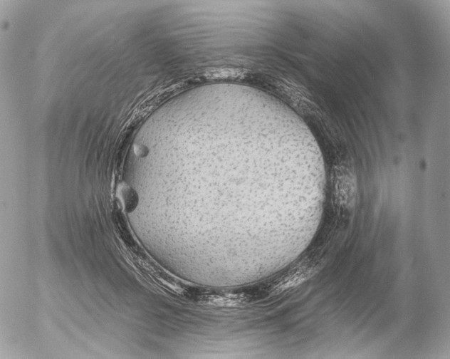 X0000052630550200507221752