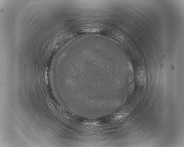 X0000052630551200507221753