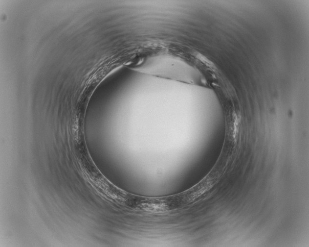 X0000052630552200507221753