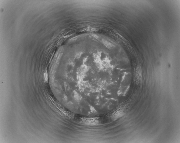 X0000052630553200507221753