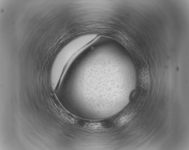 X0000052630554200507221753