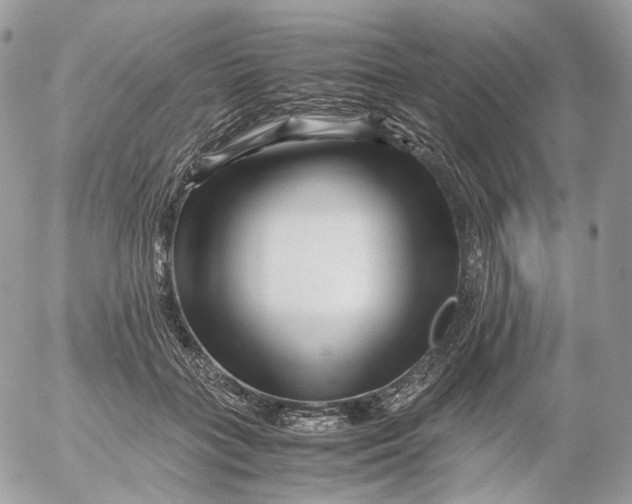 X0000052630555200507221753