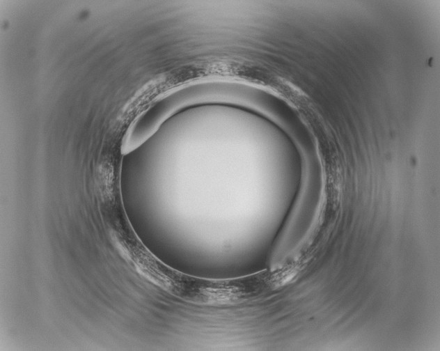 X0000052630556200507221753