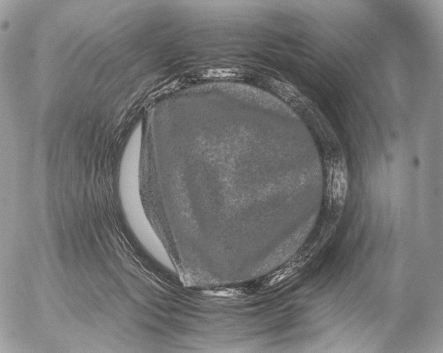 X0000052630557200507221753