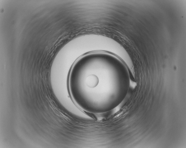 X0000052630558200507221753