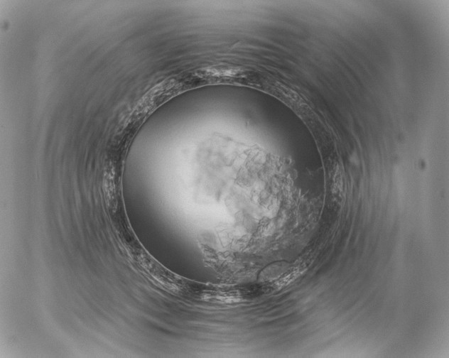 X0000052630559200507221753