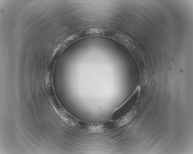 X0000052630560200507221753